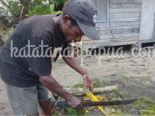 Terbukti Ampuh! Begini Suku Moi Papua Barat Daya Manfaatkan Tanaman Alam Sembuhkan Malaria