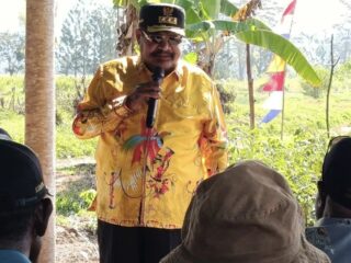 Bela Petani Lokal, Pemprov Papua Pegunungan Siapkan Pergub Pembatasan Sayuran Luar Daerah