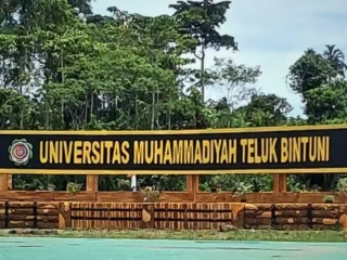 Jejak Sejarah dan Dakwah Nyata Muhammadiyah di Teluk Bintuni: Dari Tisay Menuju Perguruan Tinggi Berkemajuan